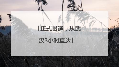 正式贯通，从武汉3小时直达