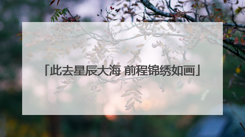 此去星辰大海 前程锦绣如画