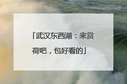 武汉东西湖：来赏荷吧，包好看的