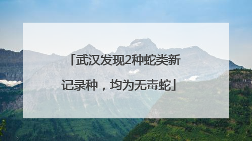 武汉发现2种蛇类新记录种，均为无毒蛇