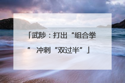 武陟：打出“组合拳” 冲刺“双过半”