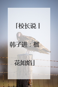 校长说丨韩子进：榴花如焰