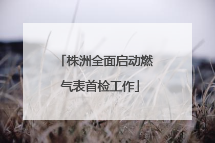 株洲全面启动燃气表首检工作