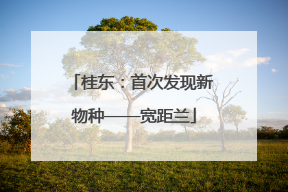 桂东：首次发现新物种——宽距兰