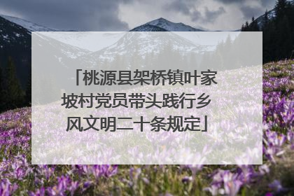 桃源县架桥镇叶家坡村党员带头践行乡风文明二十条规定