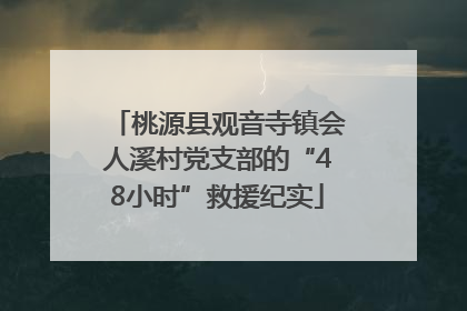 桃源县观音寺镇会人溪村党支部的“48小时”救援纪实