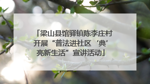 梁山县馆驿镇陈李庄村开展“普法进社区‘典’亮新生活”宣讲活动