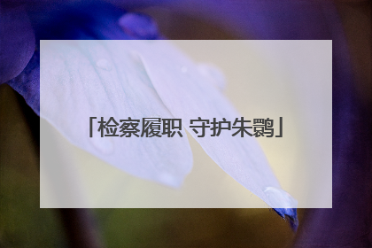 检察履职 守护朱鹮