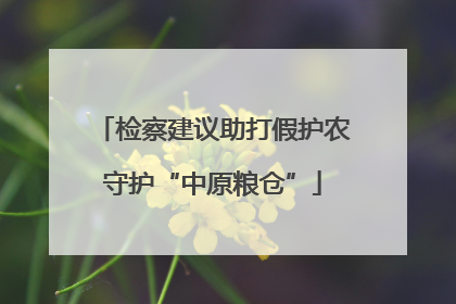 检察建议助打假护农守护“中原粮仓”