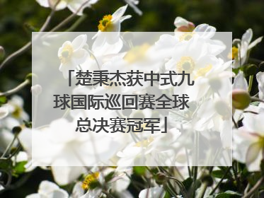 楚秉杰获中式九球国际巡回赛全球总决赛冠军
