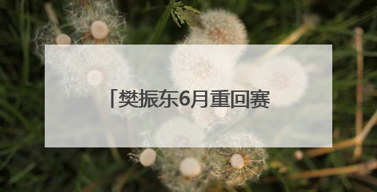 樊振东6月重回赛场，许昕透露其正在训练：将参加乒超