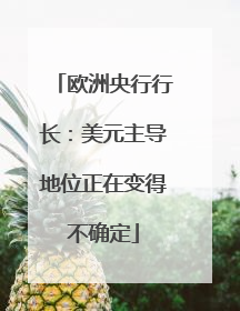 欧洲央行行长：美元主导地位正在变得不确定