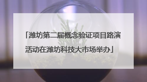 潍坊第二届概念验证项目路演活动在潍坊科技大市场举办