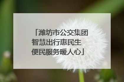 潍坊市公交集团智慧出行惠民生 便民服务暖人心