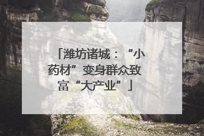 潍坊诸城：“小药材”变身群众致富“大产业”