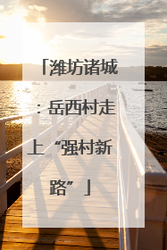 潍坊诸城：岳西村走上“强村新路”