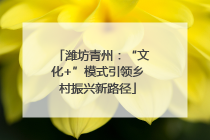 潍坊青州：“文化+”模式引领乡村振兴新路径