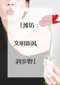 潍坊：文明新风润乡野