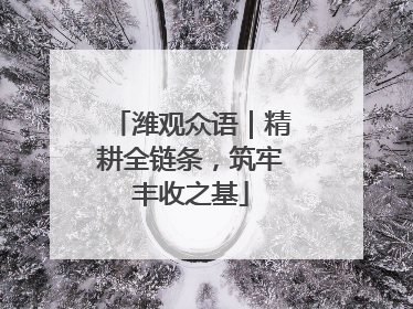 潍观众语｜精耕全链条，筑牢丰收之基