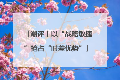 潮评丨以“战略敏捷”抢占“时差优势”