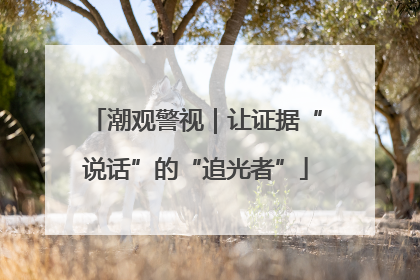 潮观警视｜让证据“说话”的“追光者”