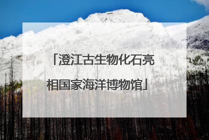 澄江古生物化石亮相国家海洋博物馆