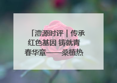 澧源时评｜传承红色基因 铸就青春华章——桑植热土上的青春长征