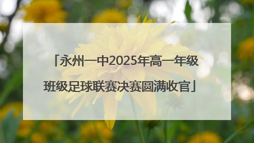 永州一中2025年高一年级班级足球联赛决赛圆满收官