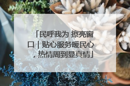 民呼我为 擦亮窗口｜贴心服务暖民心，热情周到显真情