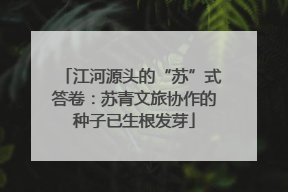 江河源头的“苏”式答卷：苏青文旅协作的种子已生根发芽