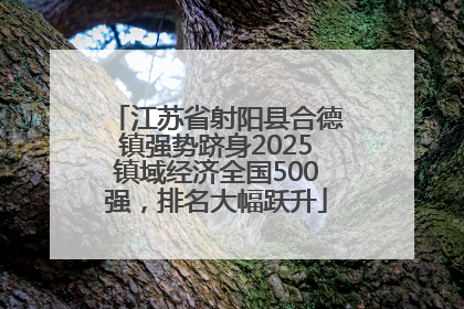 江苏省射阳县合德镇强势跻身2025镇域经济全国500强，排名大幅跃升