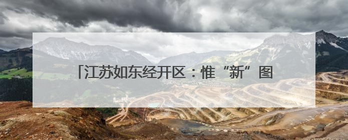 江苏如东经开区：惟“新”图强以“新”提质推进产业强区