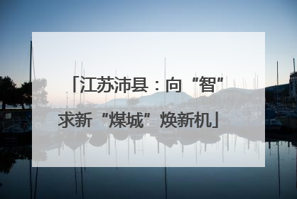江苏沛县：向“智”求新“煤城”焕新机