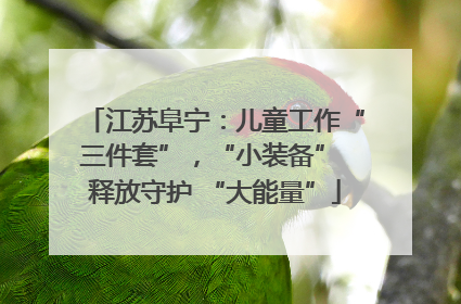 江苏阜宁：儿童工作“三件套”，“小装备” 释放守护 “大能量”