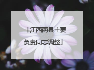 江西两县主要负责同志调整