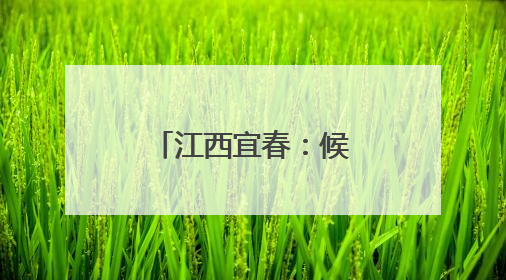 江西宜春：候车室里“话”端午(组图)