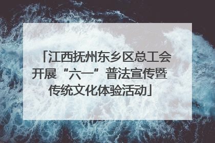 江西抚州东乡区总工会开展“六一”普法宣传暨传统文化体验活动