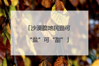沙漠腹地民勤可“盐”可“甜”