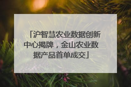 沪智慧农业数据创新中心揭牌，金山农业数据产品首单成交