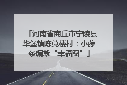 河南省商丘市宁陵县华堡镇陈兑楼村：小藤条编就“幸福图”
