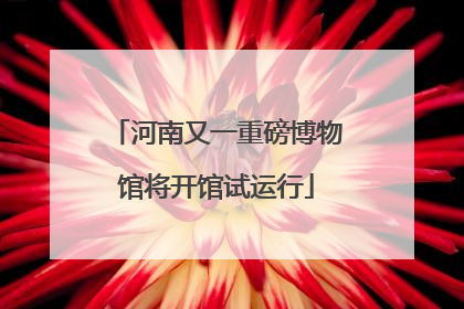 河南又一重磅博物馆将开馆试运行
