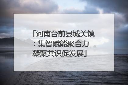 河南台前县城关镇：集智赋能聚合力 凝聚共识促发展