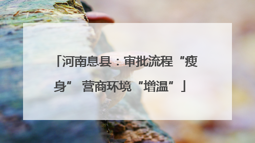 河南息县：审批流程“瘦身” 营商环境“增温”