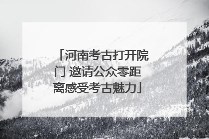 河南考古打开院门 邀请公众零距离感受考古魅力