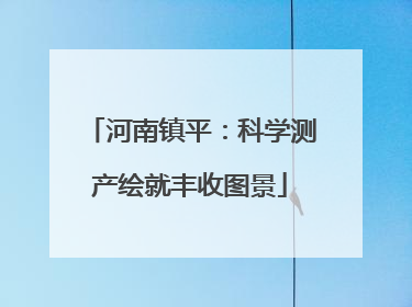 河南镇平：科学测产绘就丰收图景