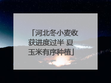 河北冬小麦收获进度过半 夏玉米有序种植