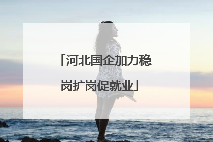 河北国企加力稳岗扩岗促就业