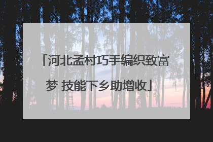 河北孟村巧手编织致富梦 技能下乡助增收
