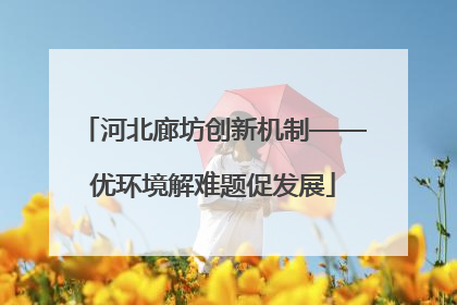 河北廊坊创新机制——优环境解难题促发展