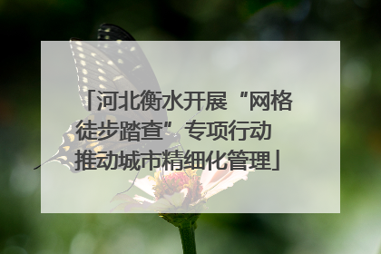 河北衡水开展“网格徒步踏查”专项行动 推动城市精细化管理